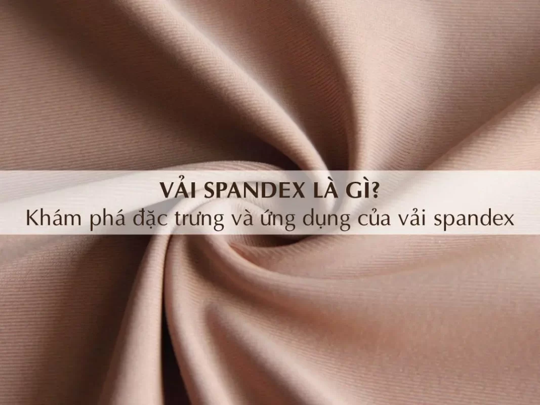 Spandex Trong Bikini Là Gì? Đặc Tính Và Ứng Dụng Của Spandex